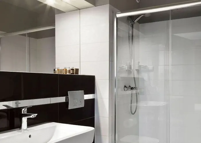 Hotel Witkowski Airport 3*